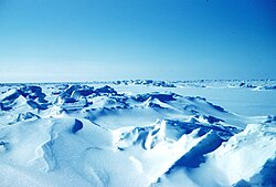 ボーフォート海：北極海の地理と資源