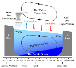 ウォーカー循環:熱帯太平洋における大気の東西循環