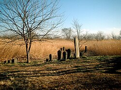 旧谷中村跡地の現在の様子