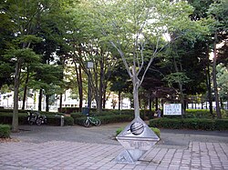 中央公園
