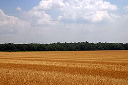 メリーランド州センタービル付近の農地