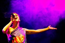 歌手と声の表現:定義・声域・ボーカル文化の全体像