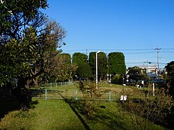 気象観測が行われている宇都宮地方気象台の観測圃場の様子