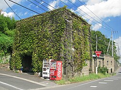 壁面緑化の一例