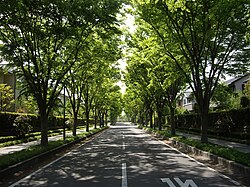 メインストリート（豊里の杜一丁目）