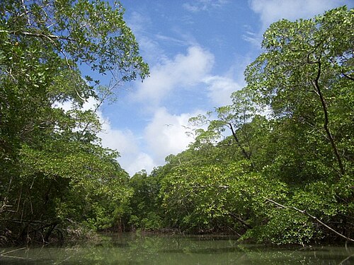 生物多様性の概念と保全