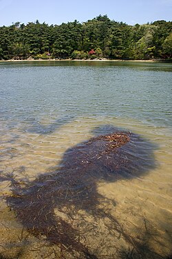 吹き溜まりのメカニズムと交通への影響
