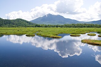 尾瀬国立公園:日本を代表する山地湿原の自然と歴史