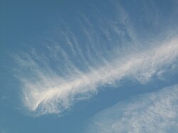 肋骨雲