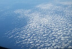 航空機から見た巻積雲