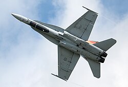 偽のキャノピー塗装を施したCF-18