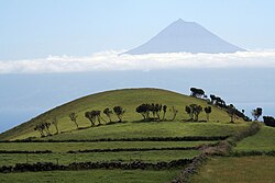 ピコ島の成層火山ピコ山の風景