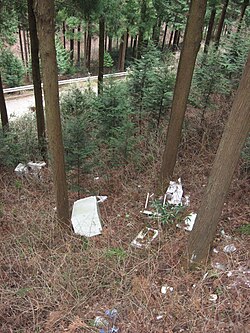 廃棄物の不法投棄問題と各国における法規制・対策