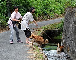 溝渠：定義、構造および分類