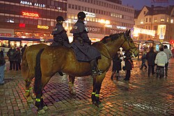 騎馬警官（フィンランド）