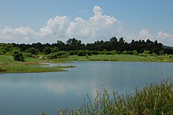 香港の湿地公園