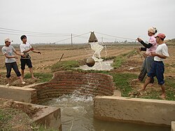 農地へ手動で水をくみ上げている様子
