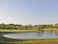 大崎公園（四丁目）