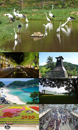豊岡市:但馬地域の中心都市とコウノトリの保護