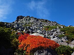 山頂へと続く最後の登り