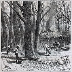 カナダの伝統的な製法(1870年頃)