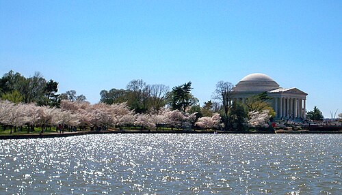 全米桜祭り:歴史と日米友好の象徴