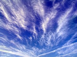 雲の分類体系:国際雲図帳に基づく十種雲形