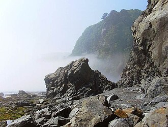 やませ(岩手県の太平洋岸の鵜ノ巣断崖麓)による海霧