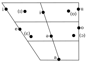 アムハラ語の言語的特徴と文字体系の概要