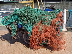 網の拡大画像