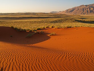 土地の砂漠化:定義、原因、および環境への影響