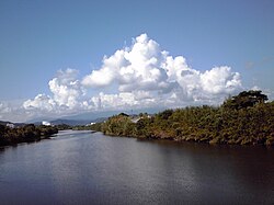 新川橋から北側の上流方面を望む景観