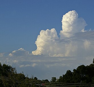 雄大雲(積雲の雲種)