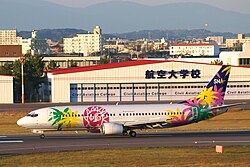 航空大学校の概要と歴史