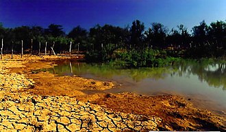 ステップ気候の地域（ブラジル）