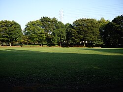 梅園公園