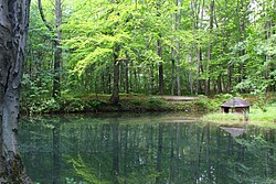 池の定義と分類