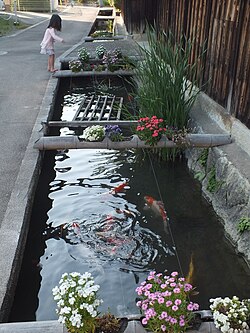 日本の用水路における歴史と構造および環境的変遷
