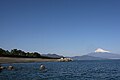 三保の松原と富士山