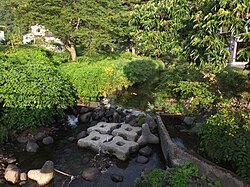 十分一沢川の流れ
