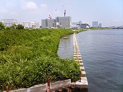 隅田川に設けられたワンド(東京都荒川区)