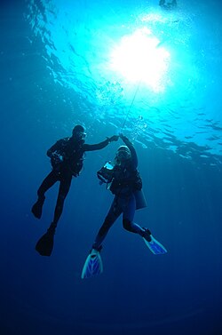 タイの海中の様子