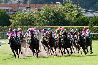 近代競馬の歴史と競技構造の概要
