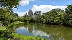 大安森林公園