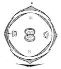 花式図