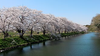 つくばみらい市の概要と歴史