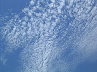 房状雲の特徴と気象学的分類