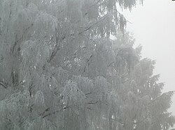 着氷性の霧の気象学的特徴と影響