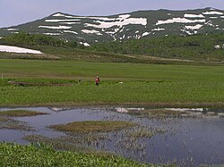 雨竜沼湿原の風景