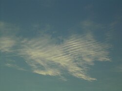 波状巻層雲